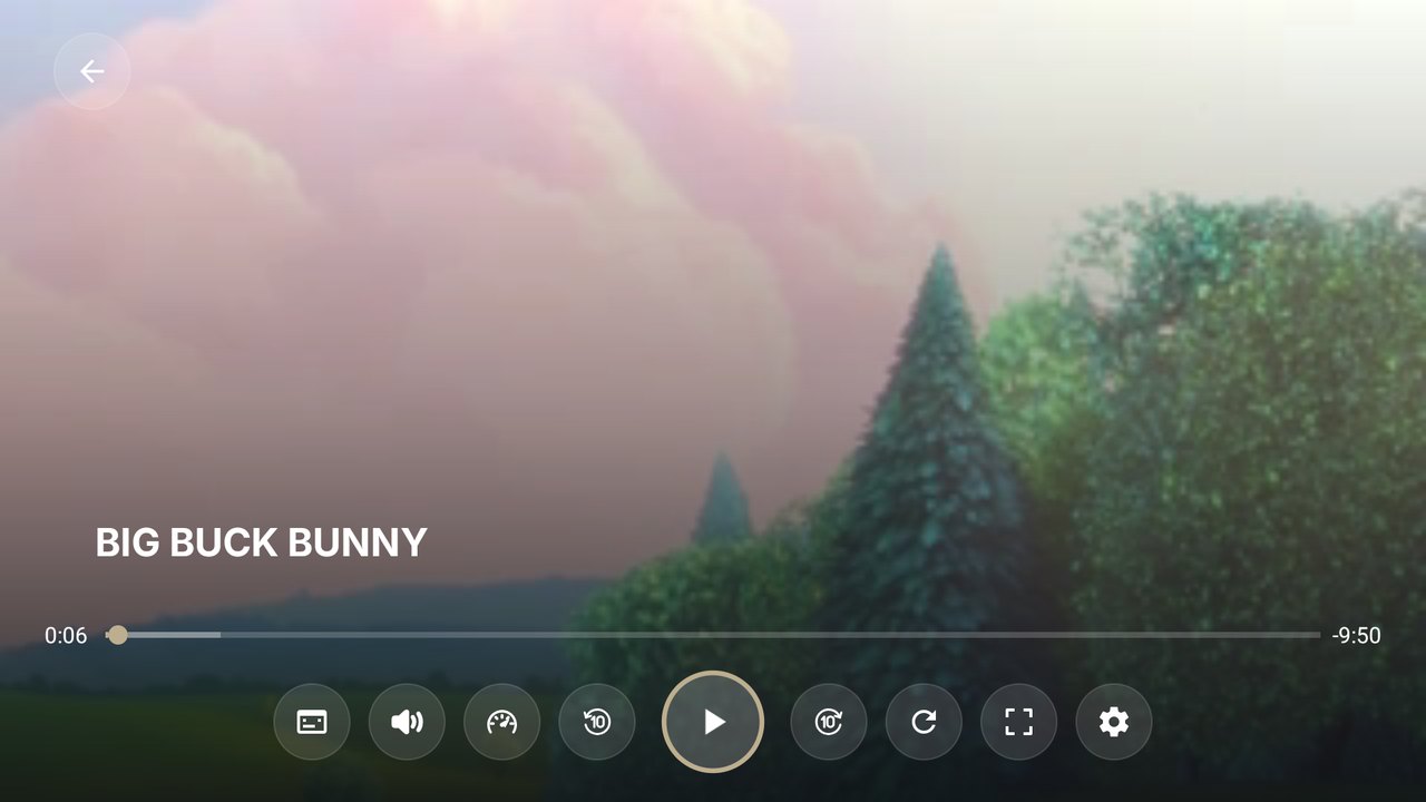 EasyPlex Player Android TV controls